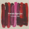 Prefab Sprout - The Best Jewel Thief In The World